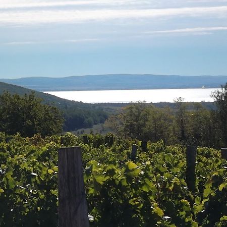Juhfark Fogado Es Borhaz Bed & Breakfast Balatoncsicso Eksteriør bilde
